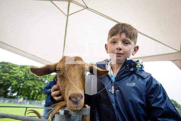 Picture by Peter Frankland. 24-08-24 Guernsey Goat Show at Le Chene. Joe Corr, 10 with Tamsin who recently met the King.