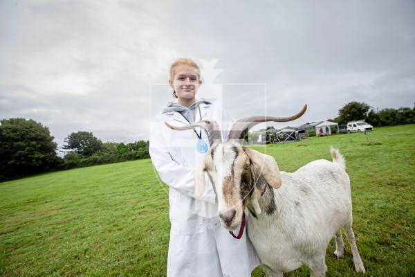 Picture by Peter Frankland. 24-08-24 Guernsey Goat Show at Le Chene.