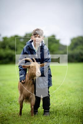 Picture by Peter Frankland. 24-08-24 Guernsey Goat Show at Le Chene. Joe Corr, 10 with Cara the goat.