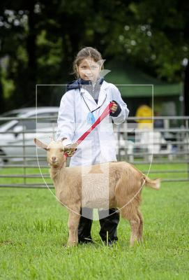 Picture by Peter Frankland. 24-08-24 Guernsey Goat Show at Le Chene. Charlotte Pearce, 7 with Willow, 4 mts.