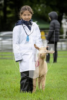 Picture by Peter Frankland. 24-08-24 Guernsey Goat Show at Le Chene. Charlotte Pearce, 7 with Willow, 4 mts.