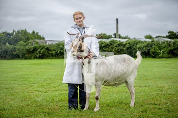 Picture by Peter Frankland. 24-08-24 Guernsey Goat Show at Le Chene.