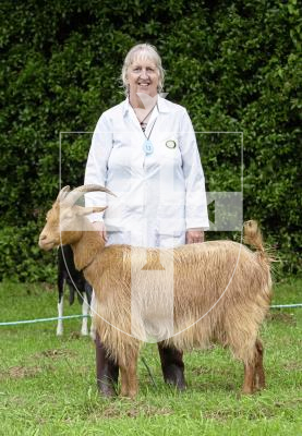 Picture by Peter Frankland. 24-08-24 Guernsey Goat Show at Le Chene. Mandy Girard with Esme Du Douit Beuval who won best female.