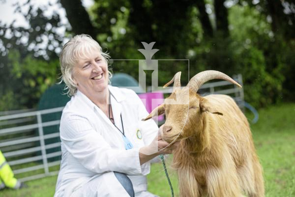 Picture by Peter Frankland. 24-08-24 Guernsey Goat Show at Le Chene. Mandy Girard with Esme Du Douit Beuval who won best female.