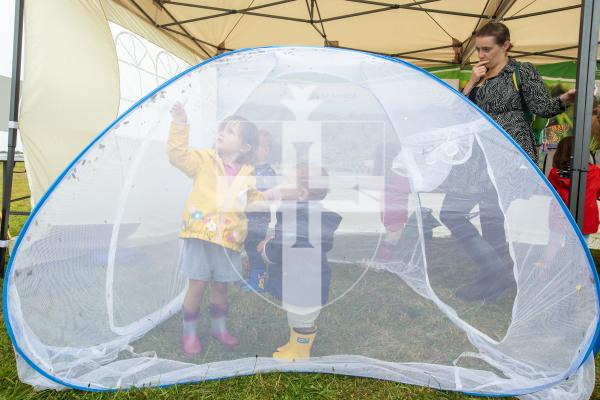 Picture by Karl Dorfner. 01-09-2024 - La Societe Bug Hunt - Gus De Freitas (18 months) and Alice Le Lievre (4) catching moths in the special moth tent