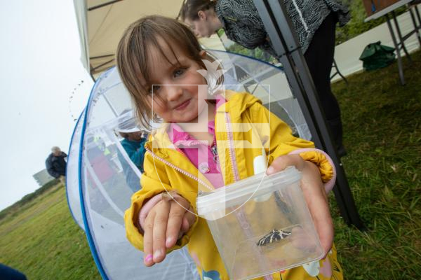 Picture by Karl Dorfner. 01-09-2024 - La Societe Bug Hunt - Alice Le Lievre (4) showing off some of the moths she captured