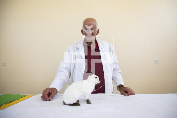 Picture by Sophie Rabey.  21-09-24.  Guernsey Rabbit and Cavy Club Show at St John Church Hall.
Judge Geoff Marquis with a Polish Rabbit.