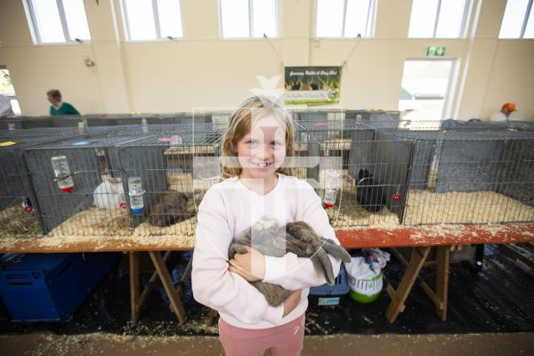 Picture by Sophie Rabey.  21-09-24.  Guernsey Rabbit and Cavy Club Show at St John Church Hall.
Maya Bailey (aged 8) with one of her 3 rabbits in show, Lola.