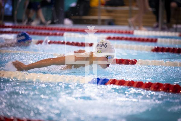 Picture by Peter Frankland. 27-09-24 Swimming at St Sampson's High School. The Wayfarers Travel Island Championships 2024. Cooper Robinson, 13.