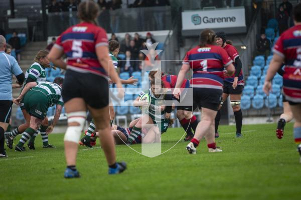 Picture by Luke Le Prevost. 04-11-23.
Ladies rugby action at Footes Lane - Raiders Ladies v Aylesford