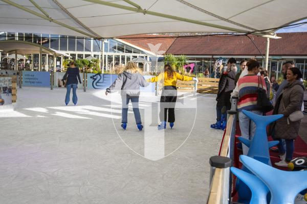 Picture by Luke Le Prevost. 01-12-23.
The ice rink has been set up at Le Friquet Garden Centre.