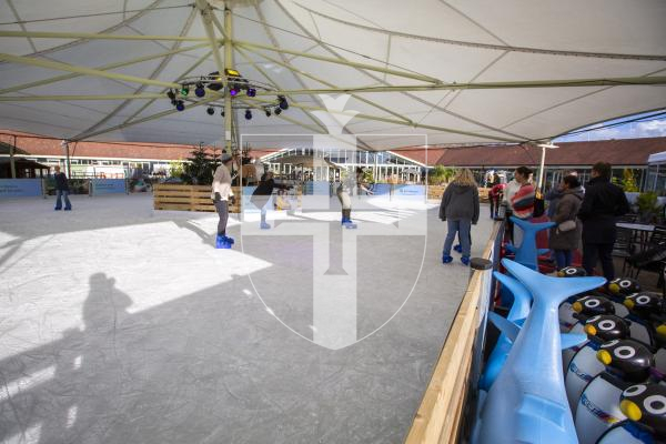 Picture by Luke Le Prevost. 01-12-23.
The ice rink has been set up at Le Friquet Garden Centre.