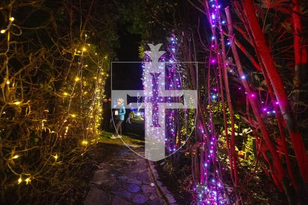 Picture by Luke Le Prevost. 06-12-23.
Winter Wonderland 2023 hosted at the Bachmann's home Les Ruettes Cottage, St Saviours. The event is sponsored by Specsavers, and raises money for the Lions Club of Guernsey and Autism Guernsey.
