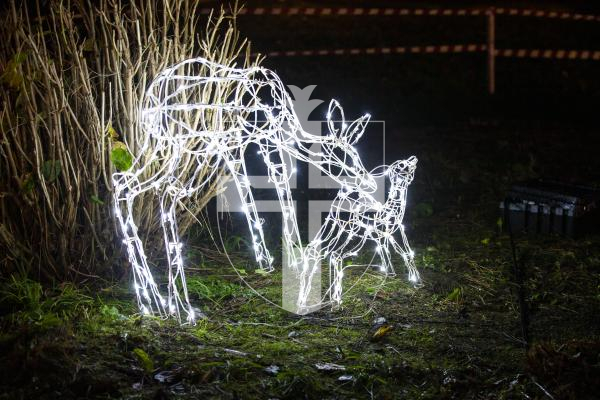 Picture by Luke Le Prevost. 06-12-23.
Winter Wonderland 2023 hosted at the Bachmann's home Les Ruettes Cottage, St Saviours. The event is sponsored by Specsavers, and raises money for the Lions Club of Guernsey and Autism Guernsey.