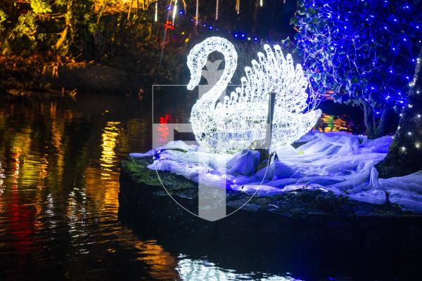 Picture by Luke Le Prevost. 06-12-23.
Winter Wonderland 2023 hosted at the Bachmann's home Les Ruettes Cottage, St Saviours. The event is sponsored by Specsavers, and raises money for the Lions Club of Guernsey and Autism Guernsey.