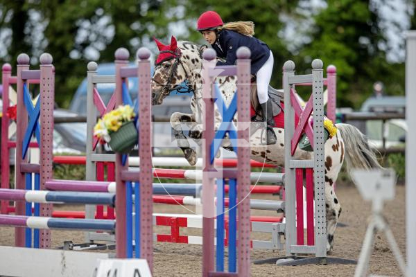 Picture by Peter Frankland. 23-08-24 Horse Of The Year Show at Chemin Le Roi. Show jumping. Adele Hickling on Spot On.