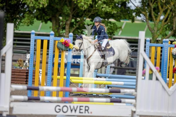 Picture by Peter Frankland. 23-08-24 Horse Of The Year Show at Chemin Le Roi. Show jumping. Freya Lambourne on Loughkey Bobby.