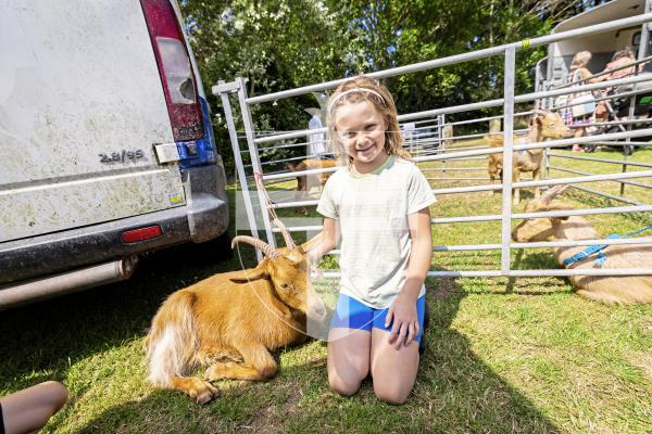 Picture by Sophie Rabey.  24-07-25.  The Royal Guernsey Agricultural Show at Saumarez Park.
Lilah Marsh (8) with goat.