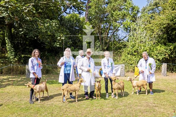 Picture by Sophie Rabey.  24-07-25.  The Royal Guernsey Agricultural Show at Saumarez Park.