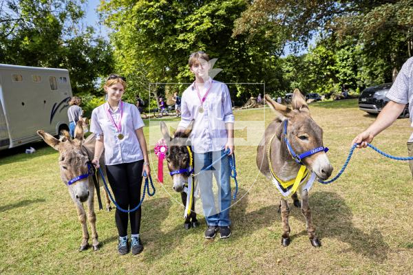 Picture by Sophie Rabey.  24-07-25.  The Royal Guernsey Agricultural Show at Saumarez Park.
Three donkeys from the show L-R Matilda (with Charis Burgoine (15), Charlie (with Nico Branquet) and Cracker.