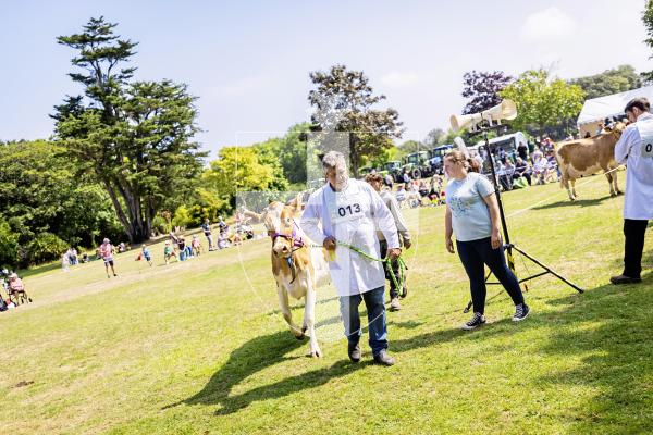 Picture by Sophie Rabey.  24-07-25.  The Royal Guernsey Agricultural Show at Saumarez Park.
Dairy Farmer, Robin Jamouneau.