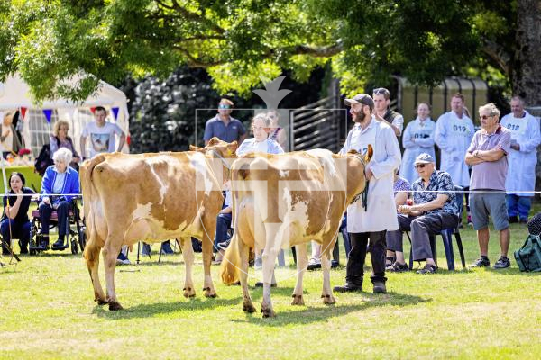 Picture by Sophie Rabey.  24-07-25.  The Royal Guernsey Agricultural Show at Saumarez Park.