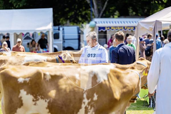 Picture by Sophie Rabey.  24-07-25.  The Royal Guernsey Agricultural Show at Saumarez Park.
Dairy Farmer, Robin Jamouneau.