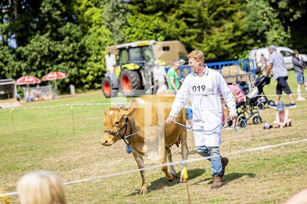 Picture by Sophie Rabey.  24-07-25.  The Royal Guernsey Agricultural Show at Saumarez Park.