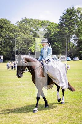 Picture by Sophie Rabey.  24-07-25.  The Royal Guernsey Agricultural Show at Saumarez Park.
Laura Stanford and horse Mollie.