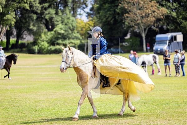 Picture by Sophie Rabey.  24-07-25.  The Royal Guernsey Agricultural Show at Saumarez Park.
Emie de la Mare (13) on horse Wirbelwind (21)