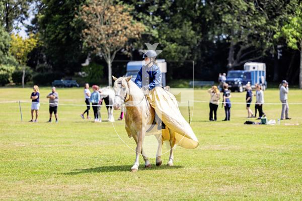 Picture by Sophie Rabey.  24-07-25.  The Royal Guernsey Agricultural Show at Saumarez Park.
Emie de la Mare (13) on horse Wirbelwind (21)