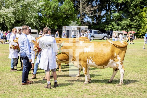 Picture by Sophie Rabey.  24-07-25.  The Royal Guernsey Agricultural Show at Saumarez Park.