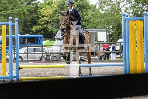 Picture by Peter Frankland. 20-08-25 The first day of Horse of the Year show at Chemin Le Roi. Esme Roughsedge on Trehewyn Rhys.