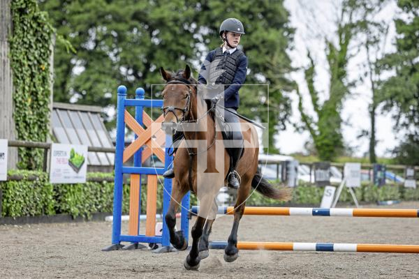Picture by Peter Frankland. 20-08-25 The first day of Horse of the Year show at Chemin Le Roi. Esme Roughsedge on Trehewyn Rhys.