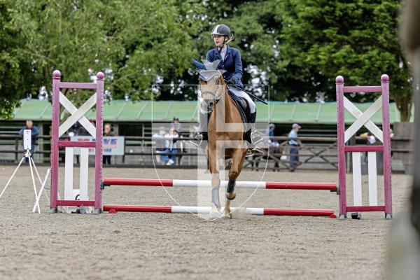 Picture by Peter Frankland. 20-08-25 The first day of Horse of the Year show at Chemin Le Roi. Amia Le Breton on Killadeer Barney