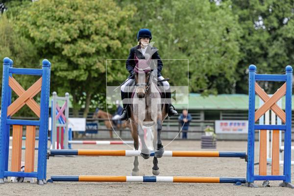 Picture by Peter Frankland. 20-08-25 The first day of Horse of the Year show at Chemin Le Roi. Rosie-Ann Gallie on Drumcrave Rocky.