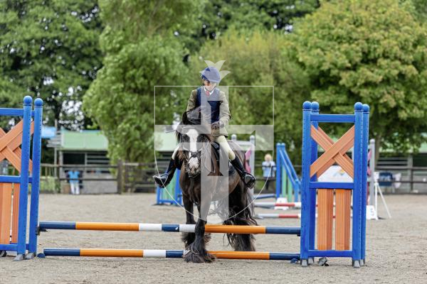 Picture by Peter Frankland. 20-08-25 The first day of Horse of the Year show at Chemin Le Roi. Clem Howe on Charlie.
