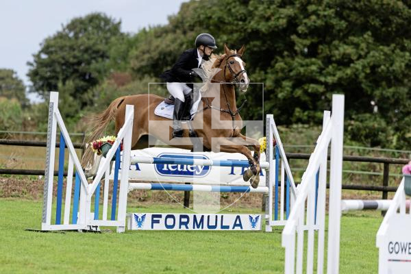 Picture by Peter Frankland. 21-08-25 Horse of the Year show at Chemin Le Roi. Justin Ogier on Artist.