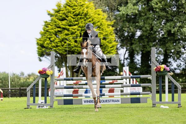 Picture by Peter Frankland. 21-08-25 Horse of the Year show at Chemin Le Roi. Justin Ogier on Artist.