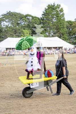 Picture by Sophie Rabey.  21-08-25.  North Show 2025 - Battle of Flowers.
Class G - Decorated Wheelbarrow, any flowers, any age, adult/child.
G3 - Olaf in Summer : Hayley Le Page