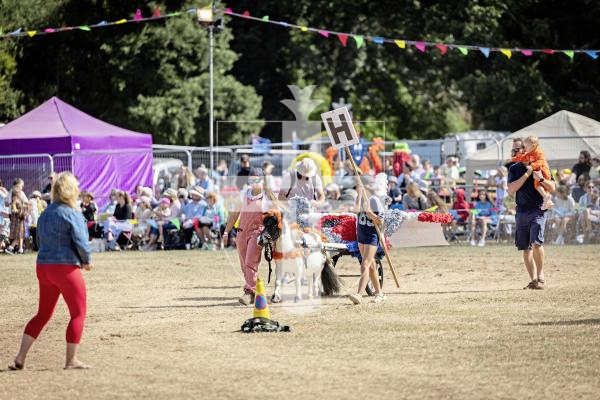 Picture by Sophie Rabey.  21-08-25.  North Show 2025 - Battle of Flowers.
Class H - Paper flowers, non-motorised, to be wheeled, drawn or carried.
H1 - Lions Pride : Sophie Veron
