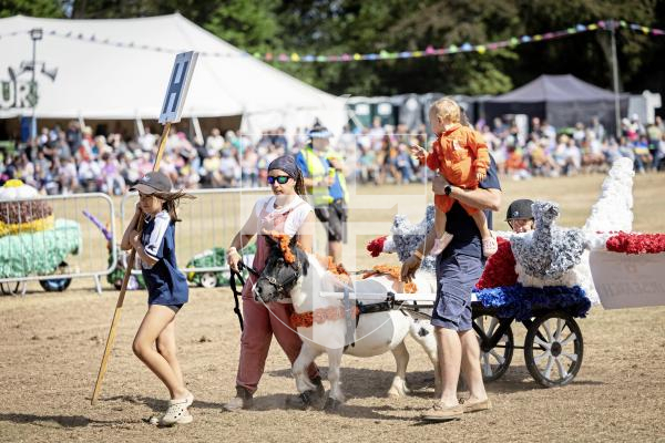 Picture by Sophie Rabey.  21-08-25.  North Show 2025 - Battle of Flowers.
Class H - Paper flowers, non-motorised, to be wheeled, drawn or carried.
H1 - Lions Pride : Sophie Veron