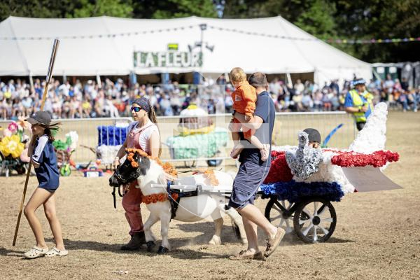 Picture by Sophie Rabey.  21-08-25.  North Show 2025 - Battle of Flowers.
Class H - Paper flowers, non-motorised, to be wheeled, drawn or carried.
H1 - Lions Pride : Sophie Veron