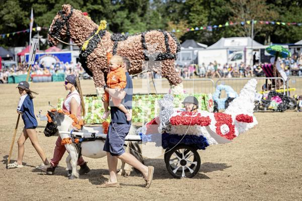 Picture by Sophie Rabey.  21-08-25.  North Show 2025 - Battle of Flowers.
Class H - Paper flowers, non-motorised, to be wheeled, drawn or carried.
H1 - Lions Pride : Sophie Veron