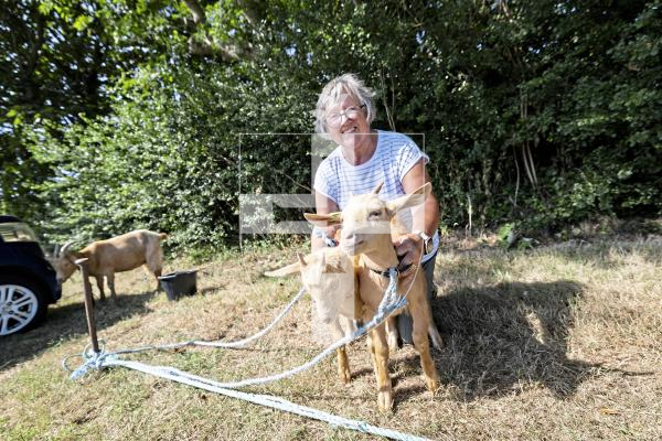 Picture by Sophie Rabey.  23-08-25.  The Guernsey Goat Society Annual Show.  
Margaret Robilliard with her 9 week old goats.