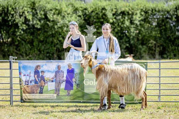 Picture by Sophie Rabey.  23-08-25.  The Guernsey Goat Society Annual Show.  
Chloe Ferbrache (13) with Goat, Dribbles (3 years)