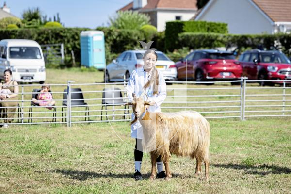 Picture by Sophie Rabey.  23-08-25.  The Guernsey Goat Society Annual Show.  
Chloe Ferbrache (13) with Goat, Dribbles (3 years)