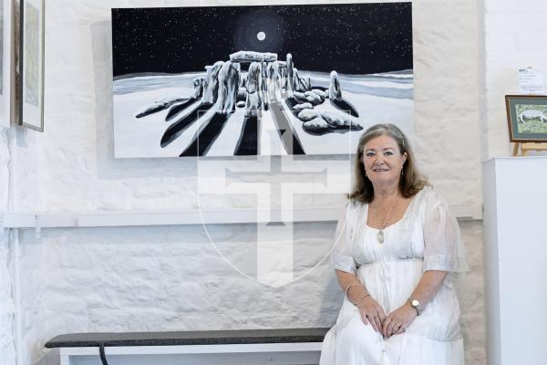 Picture by Peter Frankland. 01-09-25 Art exhibition at Art in the Park with Maggie Le Conte.