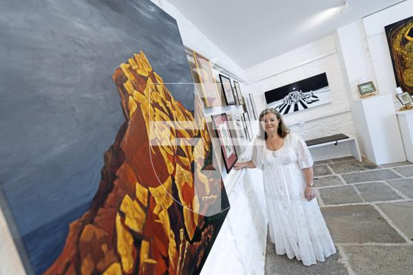 Picture by Peter Frankland. 01-09-25 Art exhibition at Art in the Park with Maggie Le Conte.