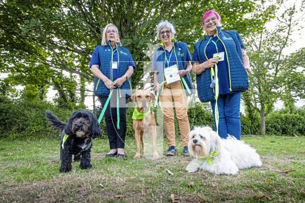 Picture by Peter Frankland. 09-09-25  Wellbeing Animals Guernsey will be starting their 10 parish walks this Sunday. The first leaves from St Saviours Community Centre. L-R - Sadie Bewey with Miss Molly, Marguerite Talmage with Pepper and Janine Le Cras with Robbie.